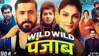 Wild Wild Punjab (2024) [Hindi ORG. MOVIE