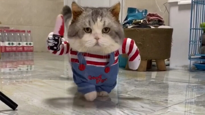 Chàng trai cơ bắp cực ngầu chưa từng thấy trên sàn diễn! Đúng là “mạnh” thật!