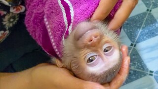 Take a Bath!! Tiny Yaya is very comfortable when Mom steam her head