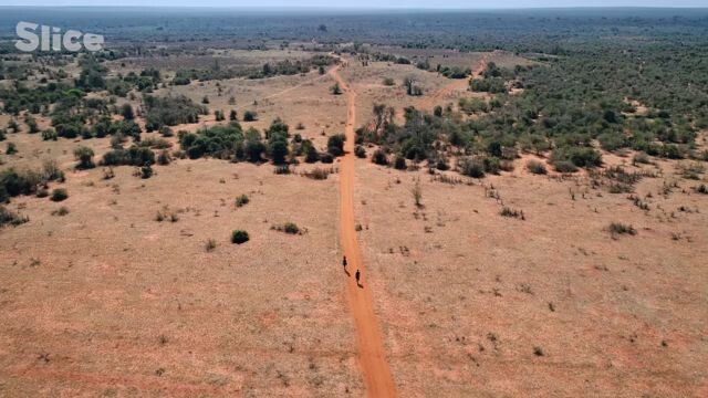 The Last Baobab Digger: Turning Living Trees Into Giant WaterTanks | SLICE FULL DOCUMENTARY