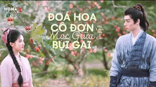 [Vietsub/Pinyin] Đoá Hoa Cô Đơn Mọc Giữa Bụi Gai - Hy Lâm Na Y Cao | OST Tích Hoa Chỉ 惜花芷