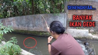 HEBOHNYAA..!! MANCING RAME RAME BANYAK IKAN GEDE!!