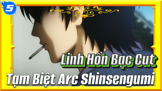 [Linh Hồn Bạc] Tạm Biệt Shinsengumi Arc - Tổng Hợp Các Cảnh Cảm Động Và Gay Cấn_5