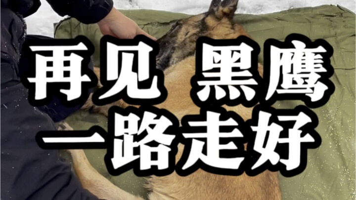 ใจสลาย เมื่อแม่ของบัตตัน แบล็กอีเกิล ได้จากไปแล้ว ตลอด 13 ปีในหน่วยตำรวจ แบล็กอีเกิลได้เขียนเรื่องรา