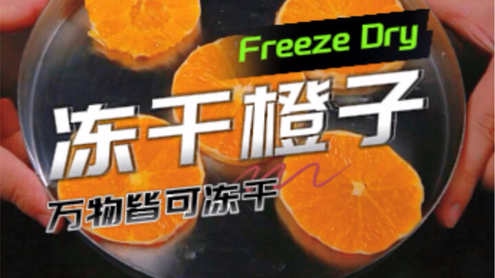 Homemade Freeze-Dried Oranges