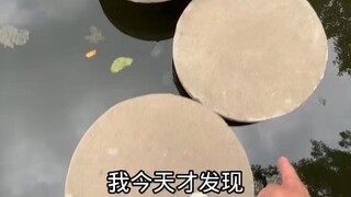 天才设计