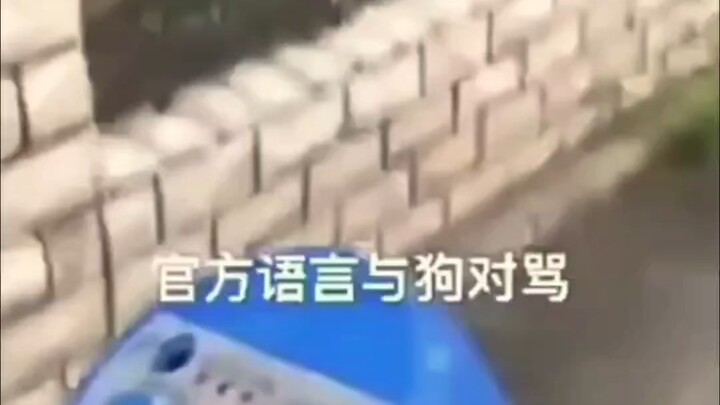 Pasti ngomong kasar, bahkan dia sendiri aja malu dengerinnya.