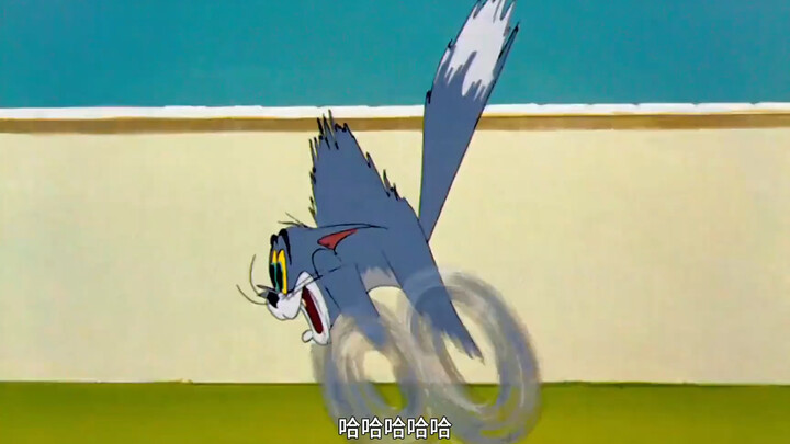 من سيرفض توم؟