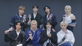 Stray Kids DIVINE应援教学