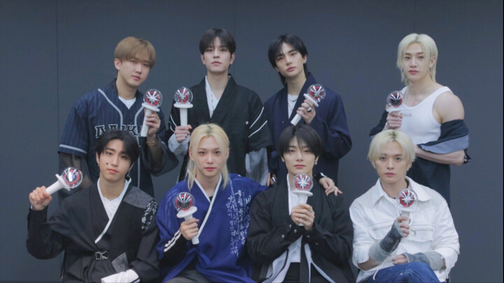 Hướng dẫn cổ vũ Stray Kids DIVINE