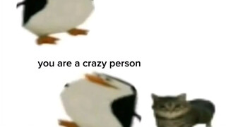 Wow that cat is very cute (meow