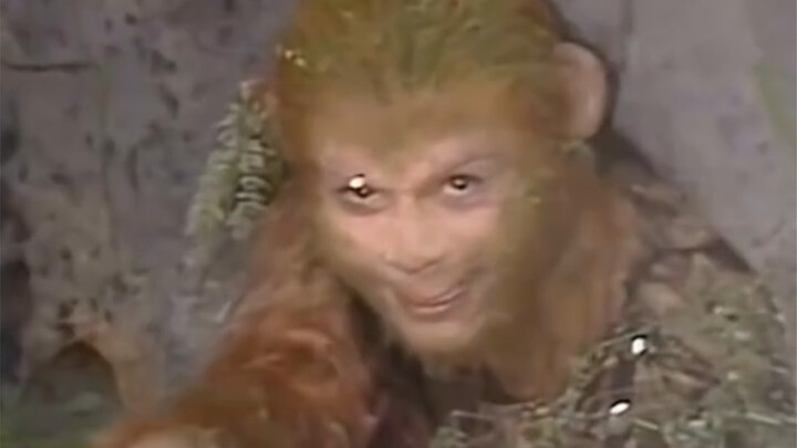 مين يدافع عن أخي القرد؟