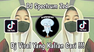 DJ SPECTRUM ZED VIRAL TOK TOK TERBARU 2023 YANG KALIAN CARI !