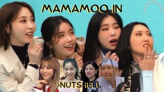 Mamamoo in nutshell for almost 5 minutes