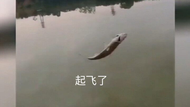 Right off the bat, it's two bitches fighting.
