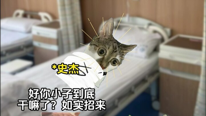 ดูดวงไปพลาง แล้วช่วยไขคดีไปด้วย? 12