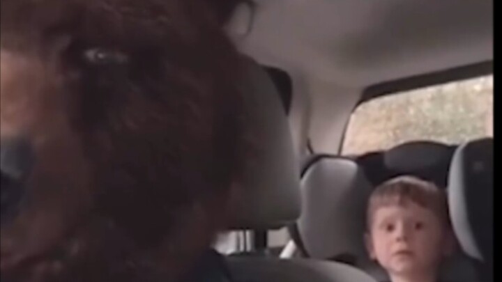 What’s it like when Dad turns into a “bear driver”?