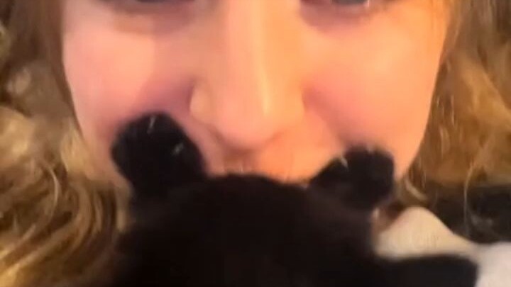 A foreign netizen was cuddling their cat at home when they suddenly felt a chill… Turns out the dog 