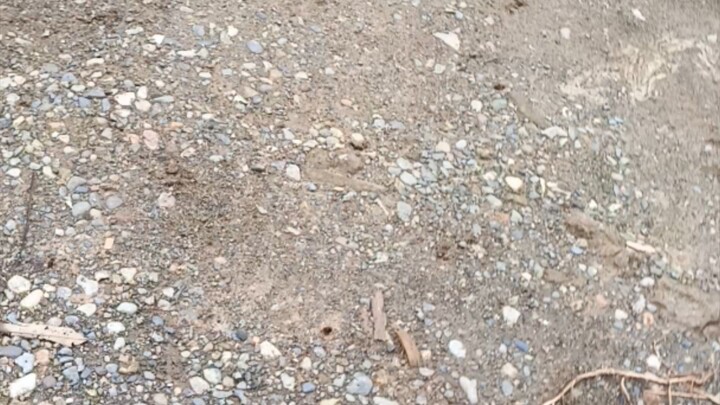 morning sparing part 1