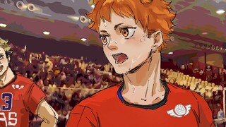 【男排】日向翔阳赛后采访片段