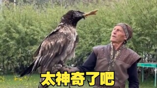 Hewan-hewan ini sungguh menakjubkan!