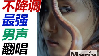 [30covers] Maria / 华莎 / 原调！最强男声翻唱！黑金邀请你来养蛇！玛利亚玛利亚！