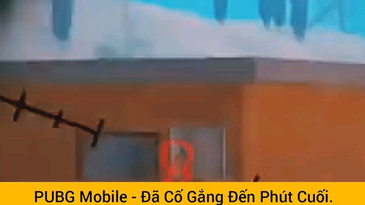 Pupg mobile hấp dẫn cuốn hút vô cùng