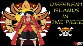 ONE PIECE x CIRCLE OF LIFE | AMV