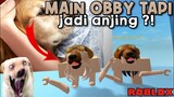 MAIN OBBY TAPI JADI 4nJ1nG ?! BARENG ADIK LAGI😹 ROBLOX INDONESIA🇮🇩