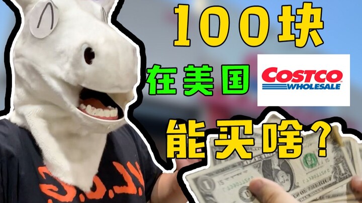 ماذا يمكنك أن تشتري من كوستكو مقابل 100 دولار؟