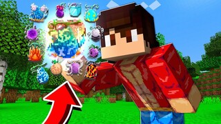 CRIEI A FRUTA MAIS PROIBIDA da ONE PIECE 𝗡𝗢 Minecraft Pocket Edition !!  ‹ Ine ›