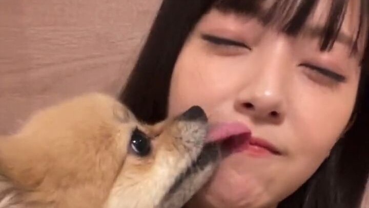 Bener-bener pengin jadi anjing Minami!