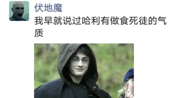 Voldemort: I’ve always said Harry’s got the makings of a villain!