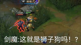 剑魔:这就是狮子狗吗！?