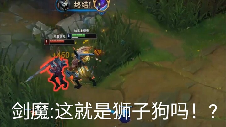 剑魔:这就是狮子狗吗！?