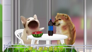 你的要求我都懂