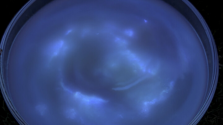 เงยหน้ามองท้องฟ้าเต็มไปด้วยดวงดาว ดูว่าพวกมันส่องแสงเพื่อคุณอย่างไร