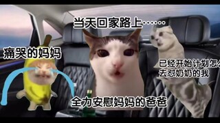 [meme猫]当重男轻女的奶奶用去世的外公外婆揭妈妈伤疤，还用村里一个处处不如我妈但是生了两个儿子的女人阴阳我们时……
