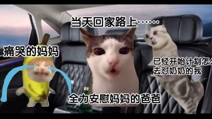 [meme猫]当重男轻女的奶奶用去世的外公外婆揭妈妈伤疤，还用村里一个处处不如我妈但是生了两个儿子的女人阴阳我们时……