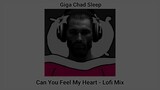 Can You Feel My Heart - Lofi Mix