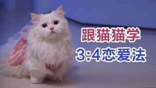 The kitten said that in the face of stomachache, heartbeat is worthless