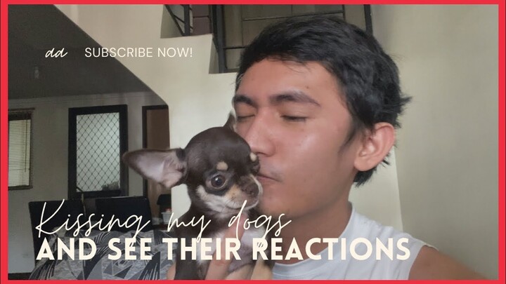 KISSING MY DOGS AND SEE THEIR REACTIONS | SUPER MARCOS VLOGA