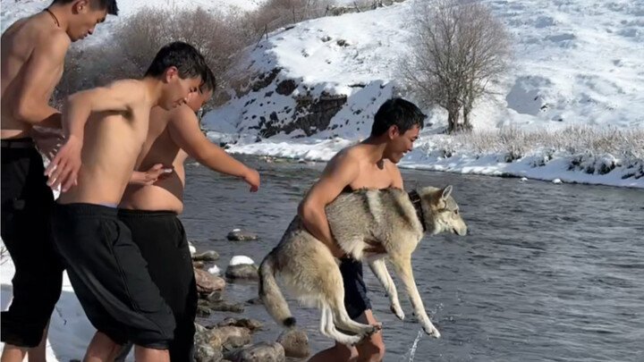 Mendesak orang lain?!!…