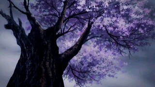 rekomendasi anime nih