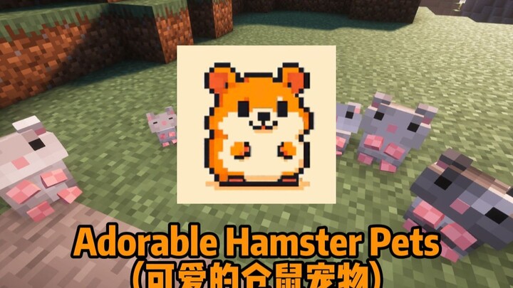 Chuột hamster!