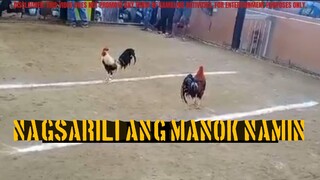 FIGHT#2.2 GREY ROOSTER (L) | SABONG TALKS TV