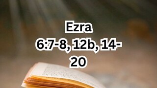 Tuesday, September 23, 2025 Memorial of Saint Pius of Pietrelcina, Priest #faith #readings #ordinary