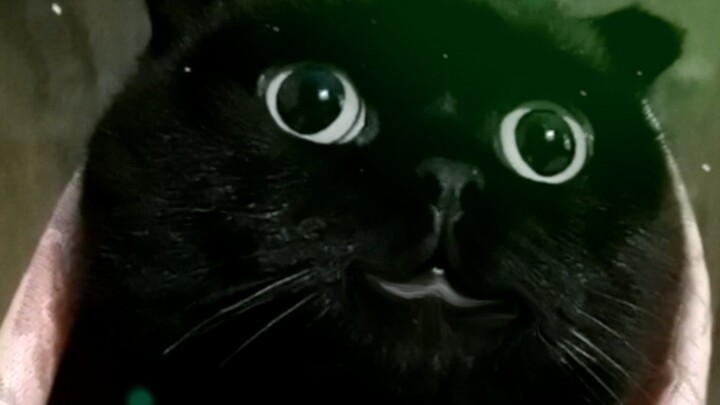 希望岁岁的笑容可以治愈你们的心灵！加油，一直努力的人！