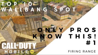 PROS SECRET WALLBANG SPOT - Firing Range