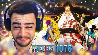 The New Shogun of Wano Kozuki Momonosuke! | One Piece Episode 1078 Reaction